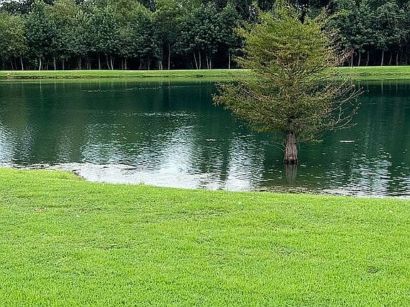 5th image of 46 Thomas Grove Rd