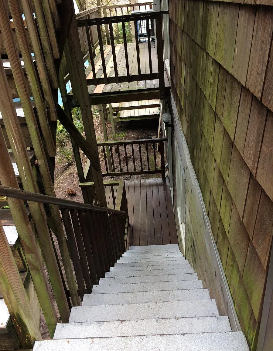 1 bed, 650 sqft, $1,650 — Photo 4
