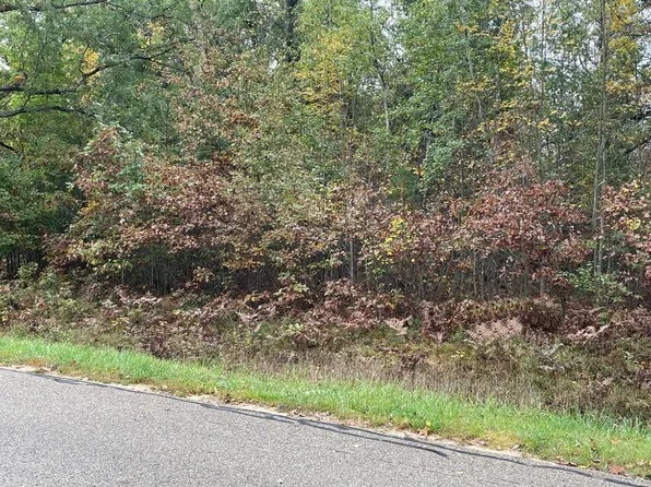 LOT 42 Hidden Hills Rd, Houghton Lake, MI 48629