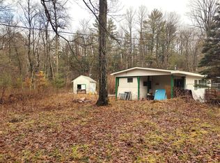 9425 E Riverside Dr, Howard City, MI 49329