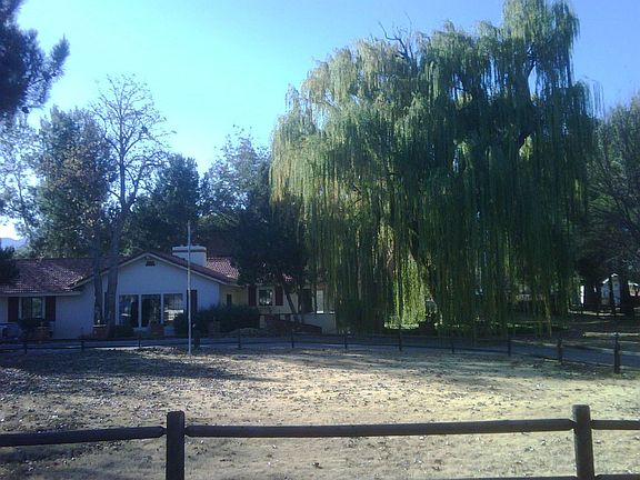 Front of house with willow