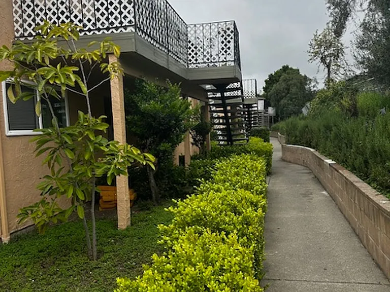 Amber Terrace — Photo 6