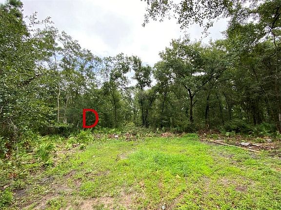 5th image of 95552D Arbor Ln
