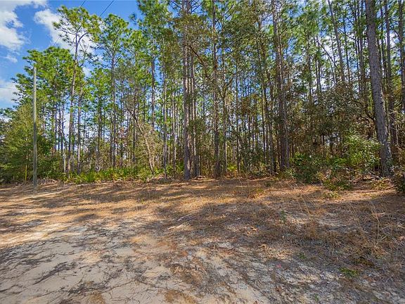 4th image of 5100 N Red Ribbon Point Lot 11