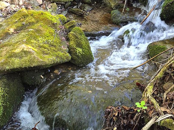 5th image of 4455 Trail Hollow Rd