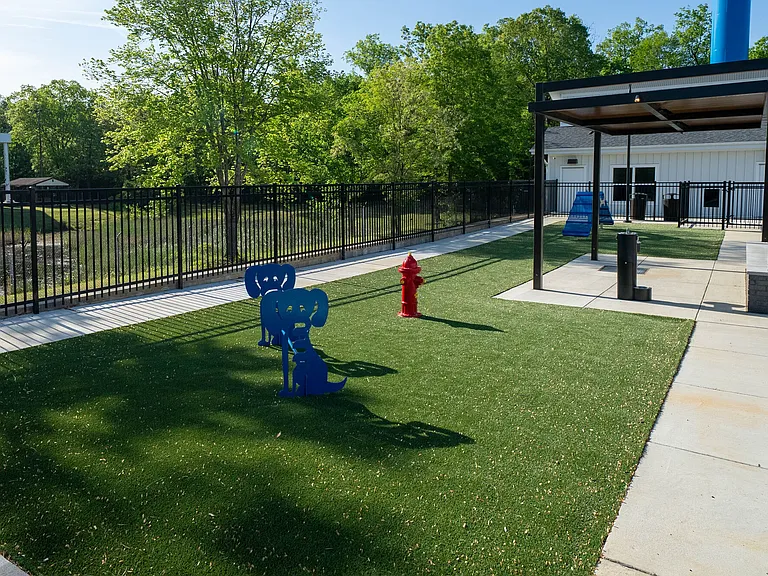 Dog Park