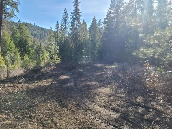 2584F Bridgeman Rettinger Rd, Kettle Falls, WA 99141