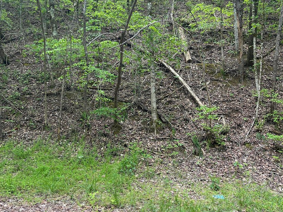 1st image of Bluegreen Way