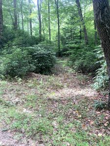 3311 Hanging Run Rd, Belington, WV, 26250