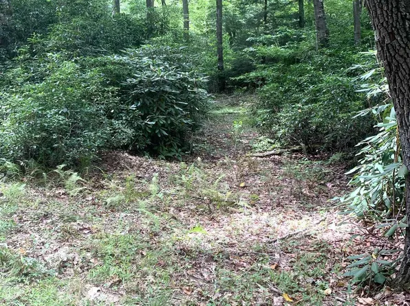 3311 Hanging Run Rd, Belington, WV 26250