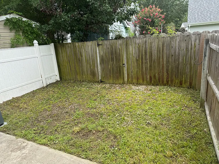 3211 Spruce Pine Rd — Photo 23