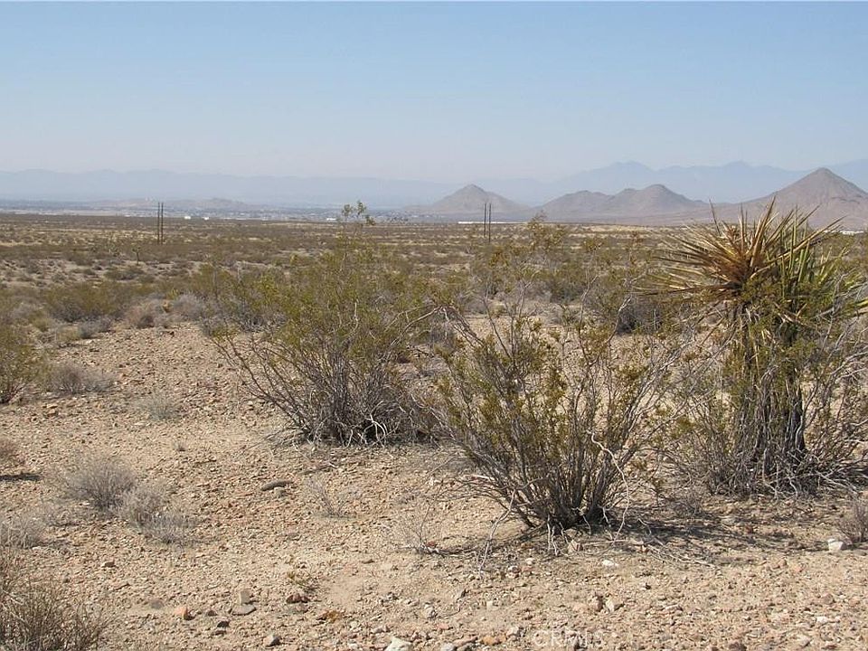 2nd image of 0463-111-11-0000 Leaping Lizard Ln