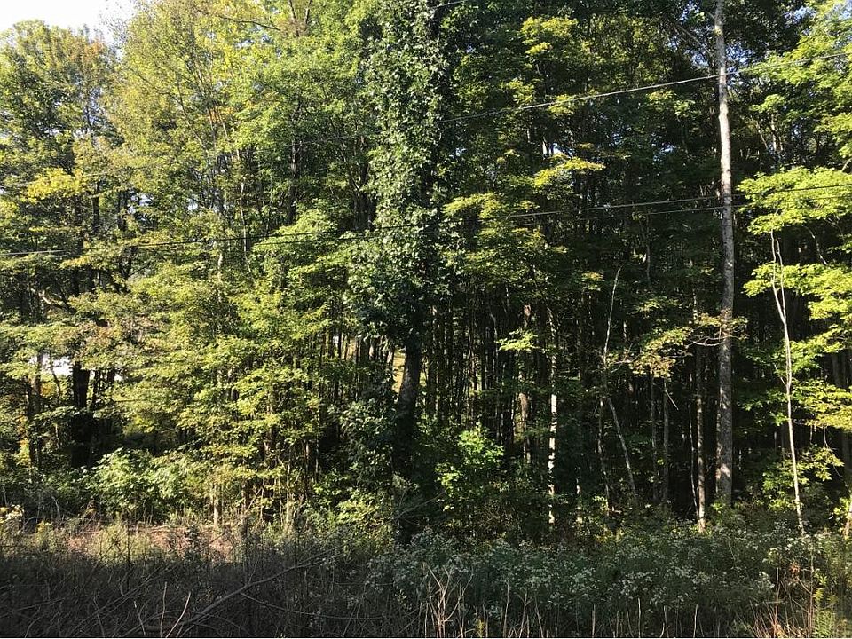 2nd image of Creek Hill Rd