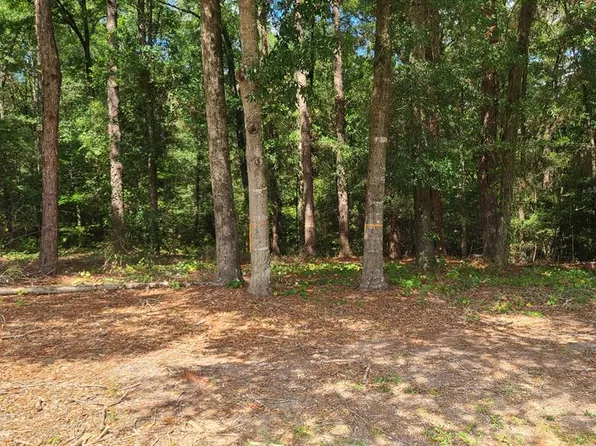 0 Alcuri Dr Lot 15, Ozark, AL 36360