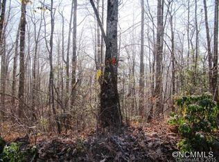 U34-L007 E Fork Rd, Brevard, NC 28712