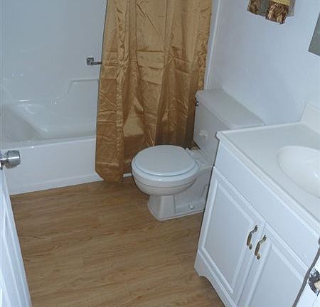 Bathroom - shower and vanity