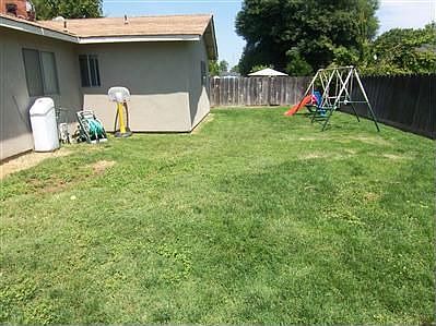 back yard