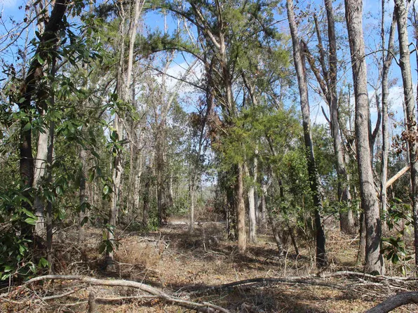 172 Pruitt Dr, Perry, FL 32348
