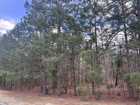 2nd image of 29 Ridgeland St Lot 1847
