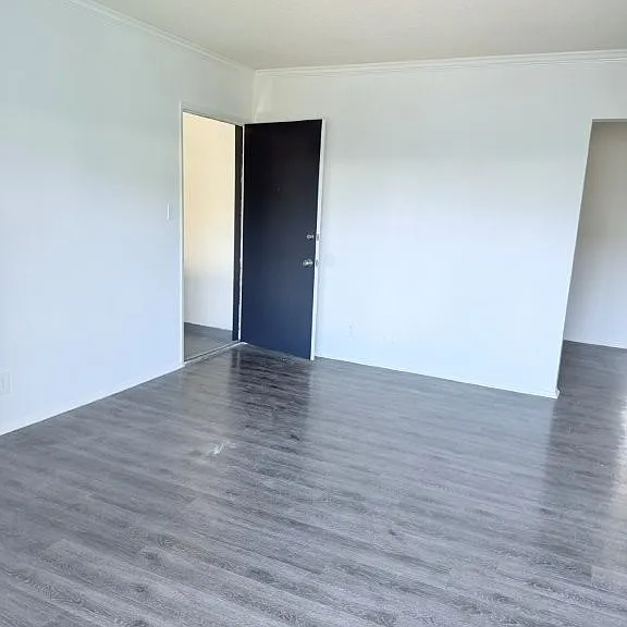 Bayview Apartments — Photo 4
