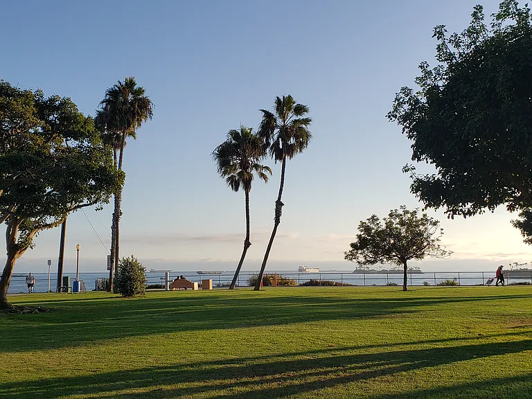 Walk to Bluff park