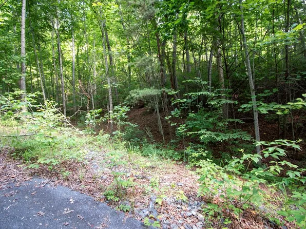 0 Bluff Rd, Marble, NC 28905