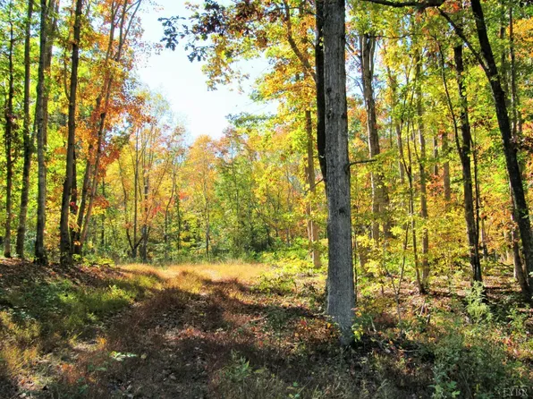 37 Piney Mountain Ln, Shipman, VA 22971