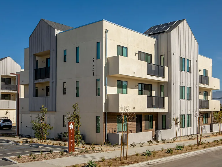 Ironwood — Photo 26