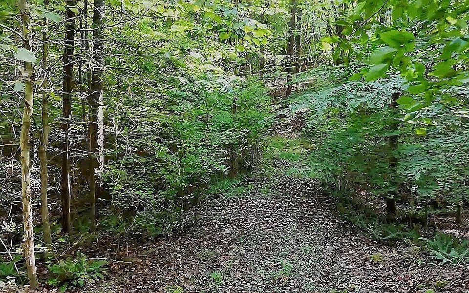 1st image of 11705 Strickland Rd Lot 5