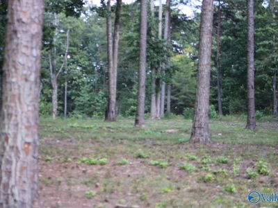 1805 County Road 103 LOT 46, Mentone, AL, 35984