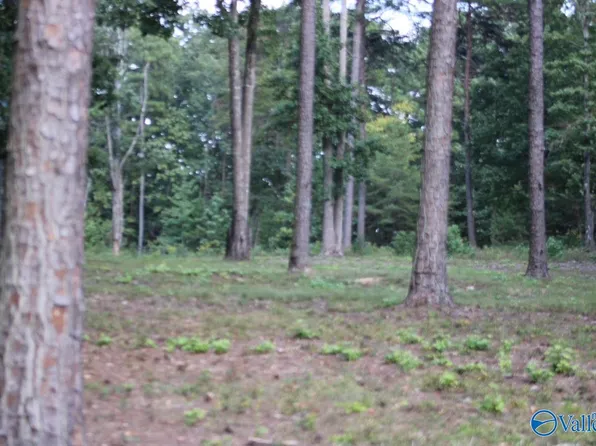 1805 County Road 103 Lot 46, Mentone, AL 35984