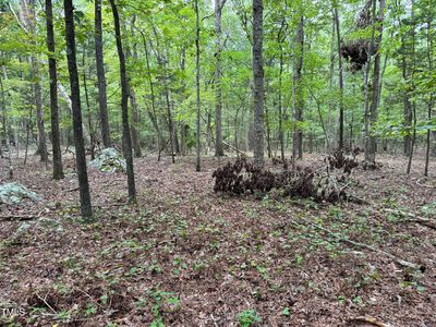 Woodgrove Way, Hillsborough, NC, 27278