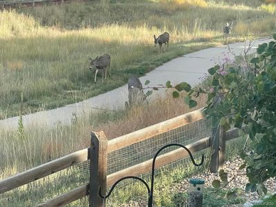 3303 Starry Night Loop, Castle Rock, CO, 80109