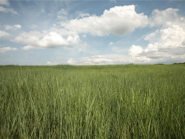 0 NW 1821st Rd, Kingsville, MO 64061