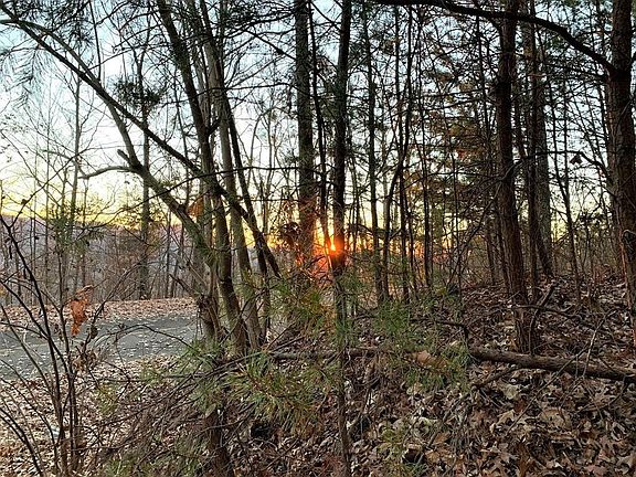 2nd image of 123 Settlers View Ln Lot 123E