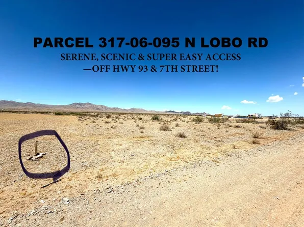 317-06-095 N LOBO Road, Dolan Springs, AZ 86441