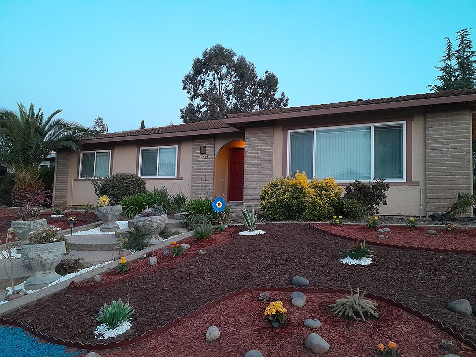 Front side: Double-door with fresh paint, Low-maintenance front yard