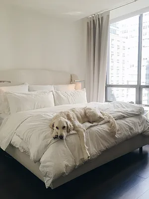 Rented by UDR | media 13