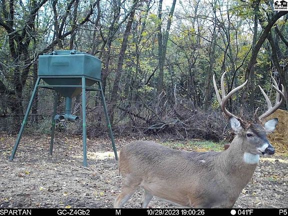 2nd image of 5020 N Table Mound Rd