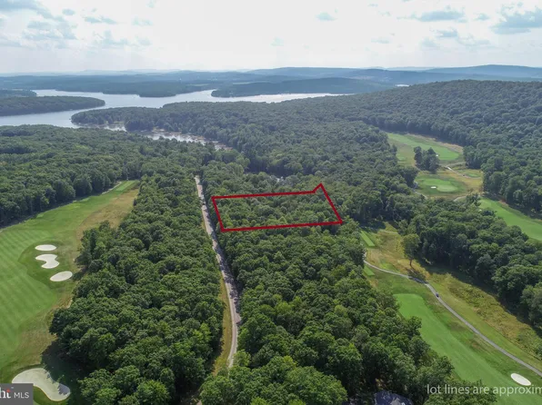 Poland Run View West Thousand Acres Rd Lot 1, Swanton, MD 21561