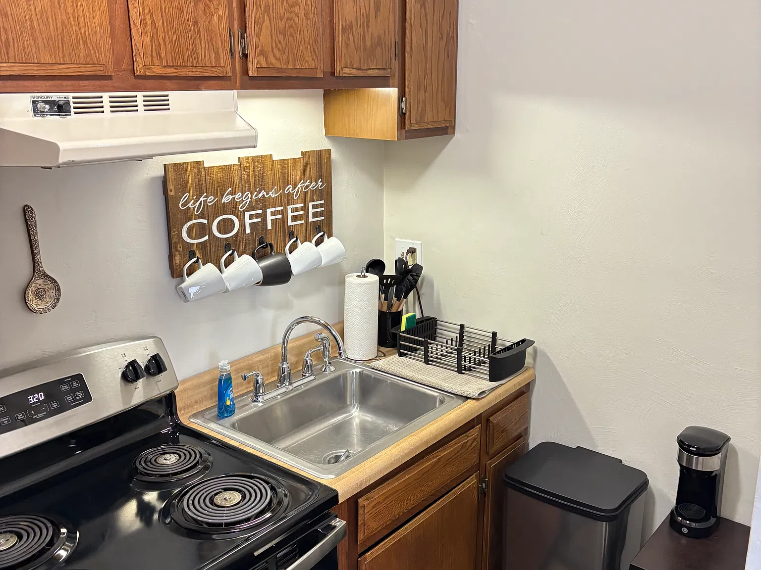 1 bed, 400 sqft, $800 — Photo 4