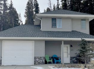 225 Chisholm Way, Alma, CO 80420