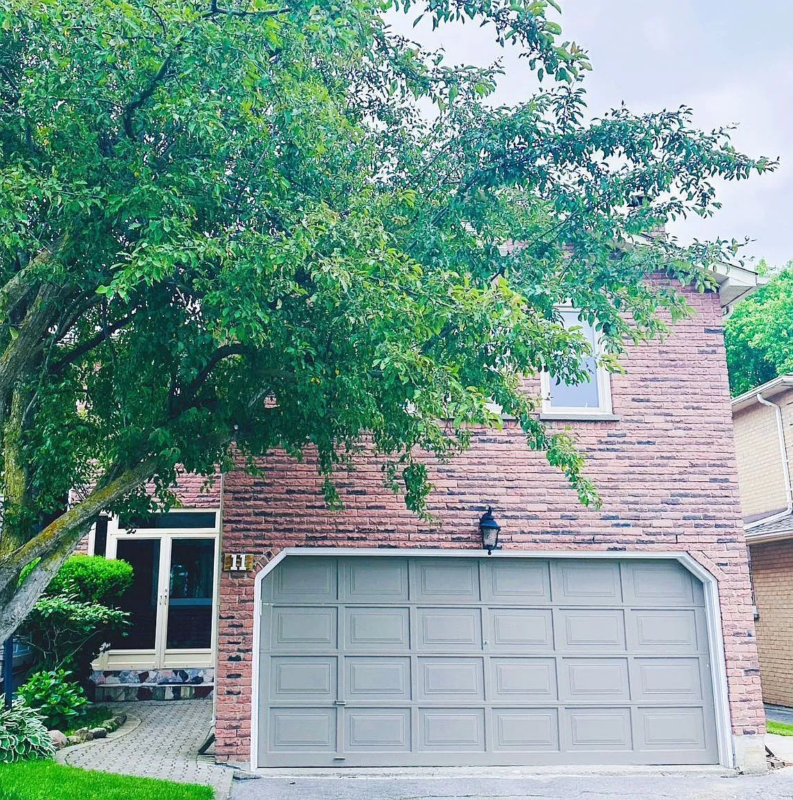 1 bed, $800 — Photo 1