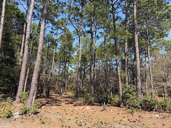 4th image of 6786 Holton Place LOT 126