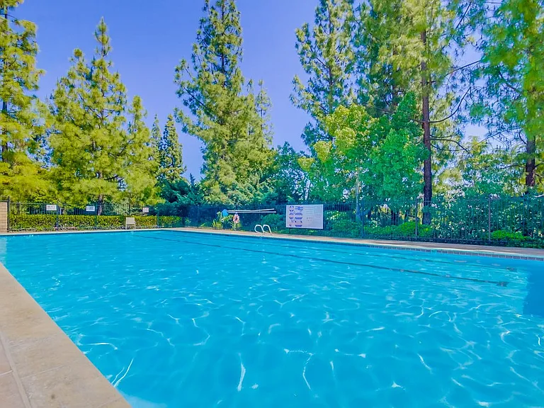 2703 Lobelia Rd — Photo 64