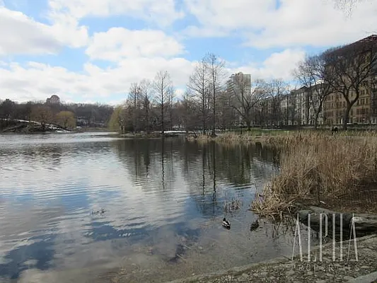 Rented by Alpha Properties NYC I LLC | media 51