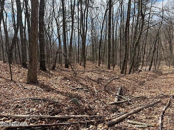 3rd image of 0 Swann Saddle Rd Lot 12