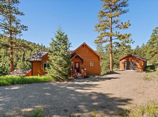 331 Hi Meadow Dr, Bailey, CO 80421