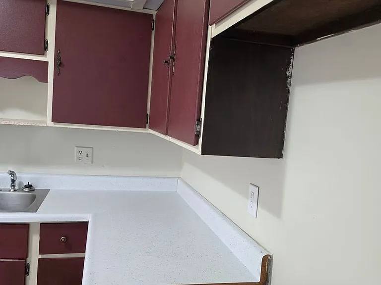 8453 Shirlane St — Photo 5