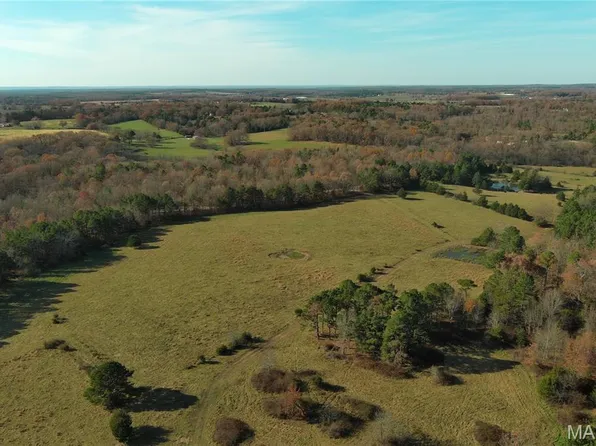 19723 Friendship Dr, Raymondville, MO 65555